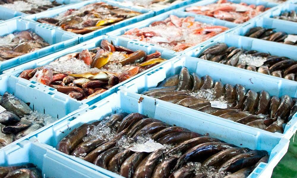 Exporta es De Cabo Verde Aumentam Em 282 Mil Contos Relativamente Ao 
